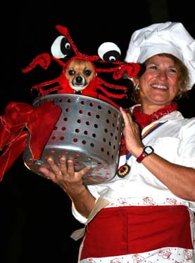 Pet Masquerade and Parade 2009 photo - Duval Street, Key West